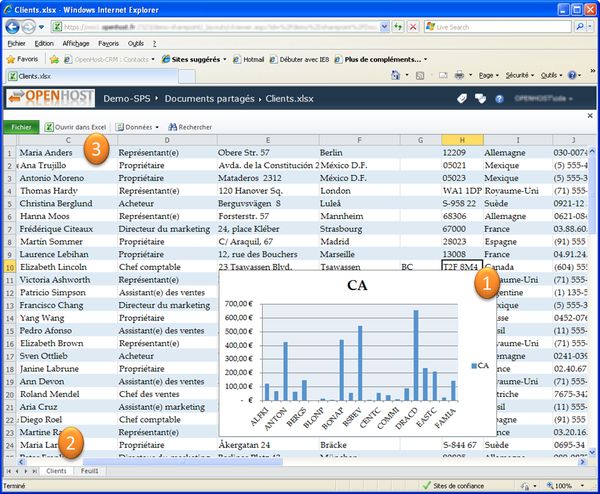 comment marche excel 2010