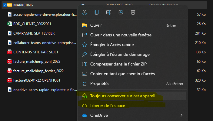 Fonctionnalités "toujours conserver sur cet appareil et "libérer de l'espace"
