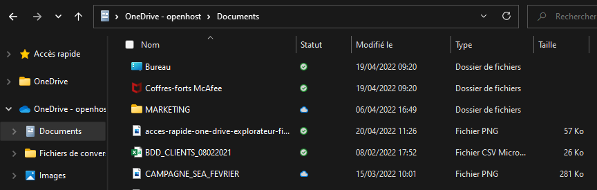 Fichiers à la demande dans l'explorateur de fichiers PC